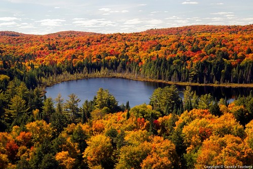 La Belle Province