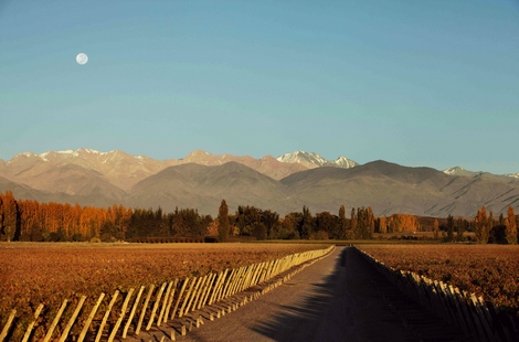 Notre été en Argentine