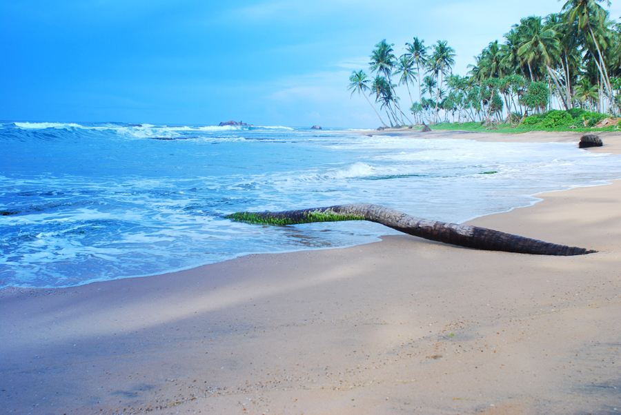 Sri Lanka, découverte de l'ancien Ceylan