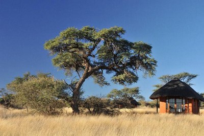 Intu Afrika Camelthorn Lodge